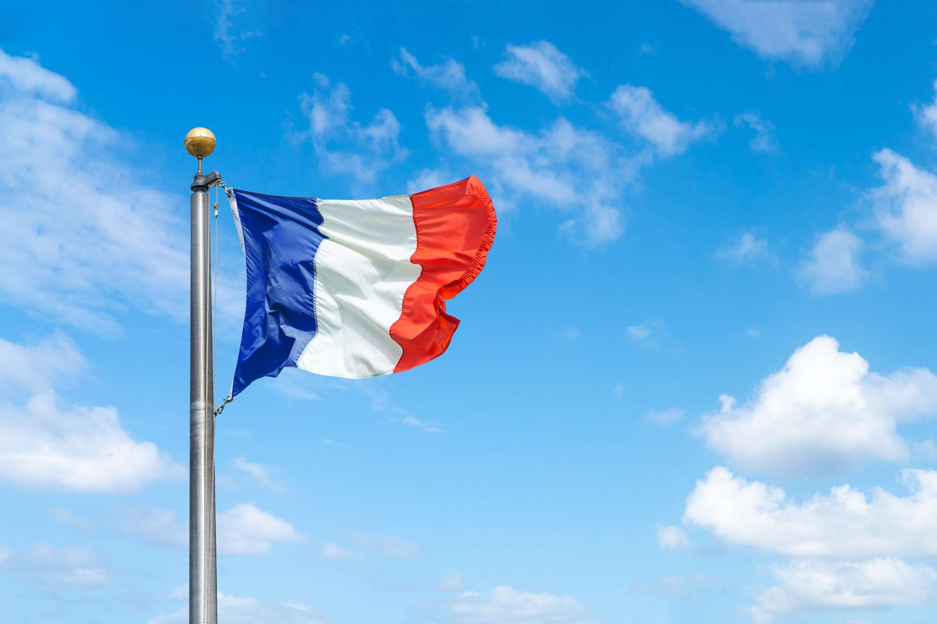 Online French language courses 